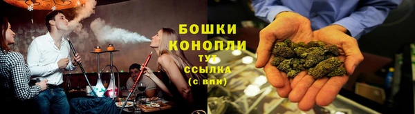 PSILOCYBIN Балахна
