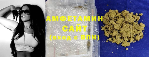 мдпв Рославль